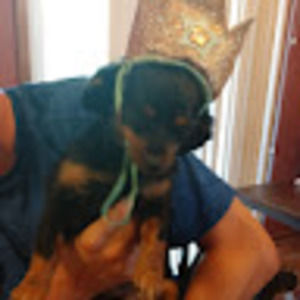 Meet your Posher, Kristina